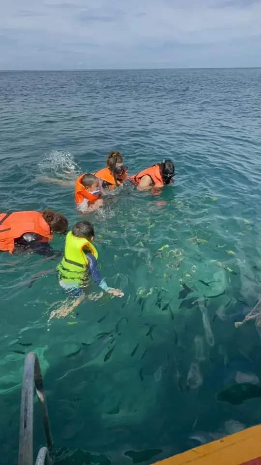 Fische im Wasser beobachten