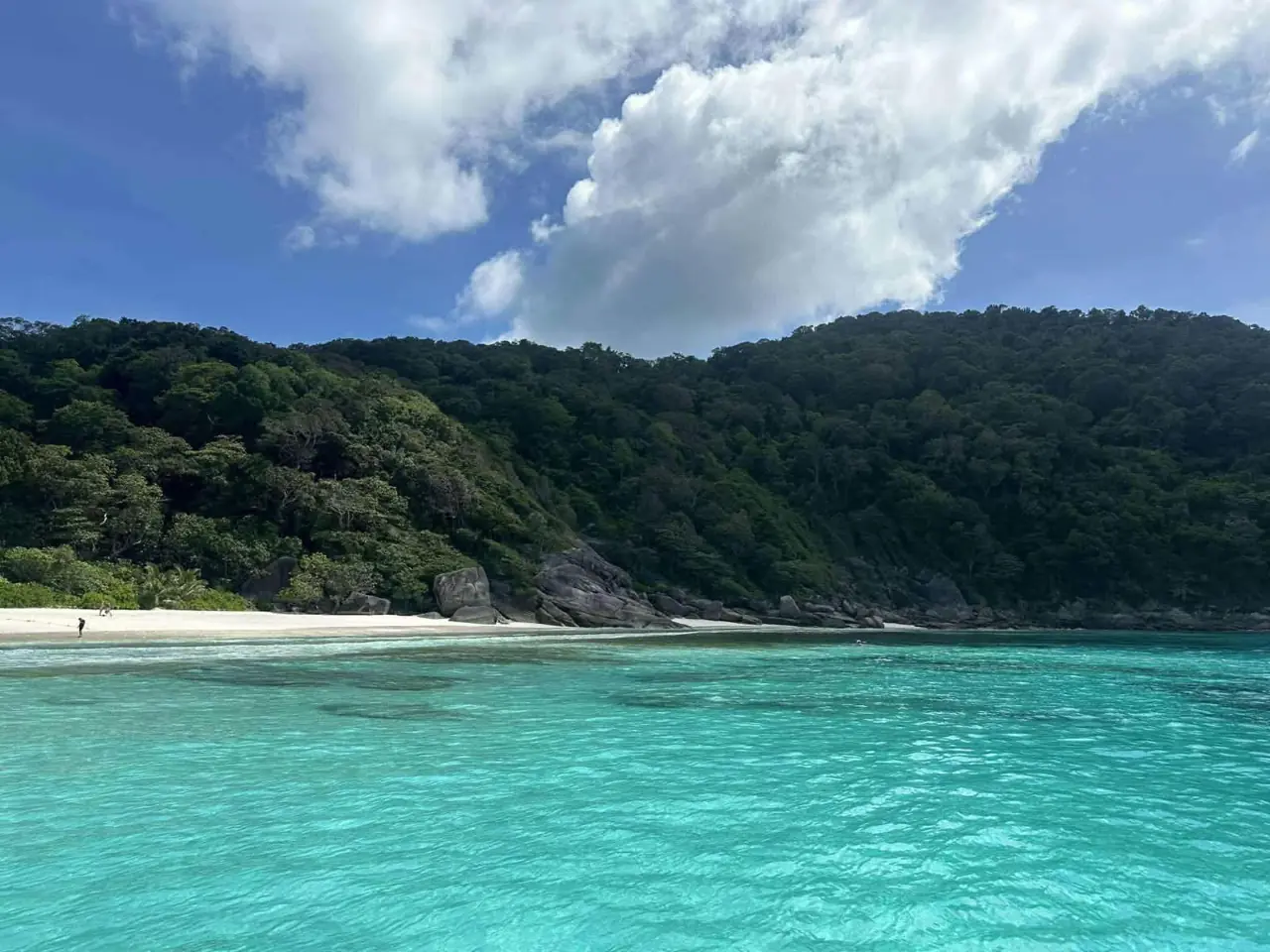 Fehér homokos part és erdő a Similan-szigeteken